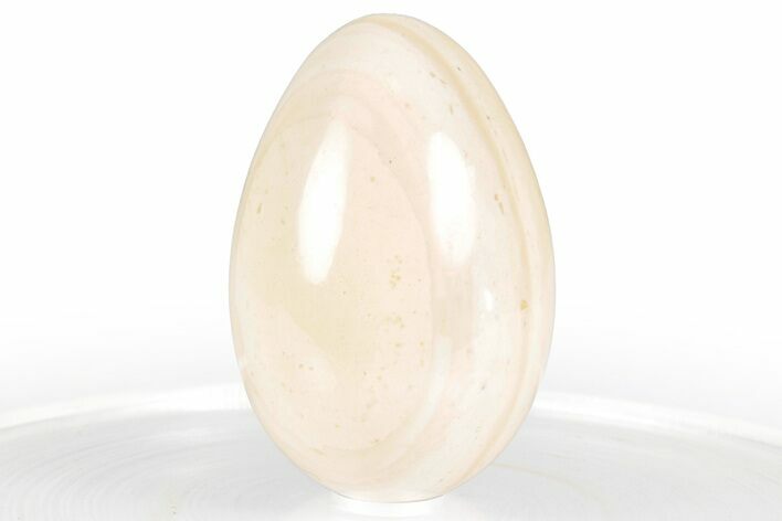 Polished Cream Rhyolite Egg - Philippines #356468